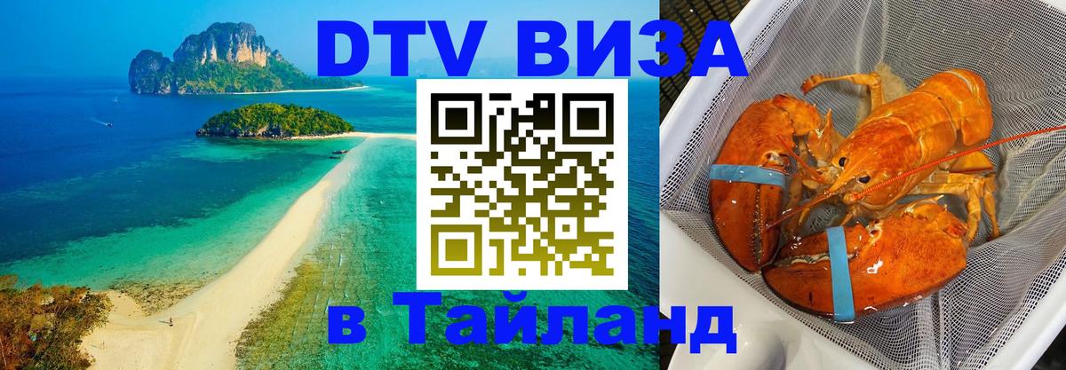 Оформление DTV визы под ключ: стоимость и тарифы, только загранпаспорт - Бейрут  20.11.2025 